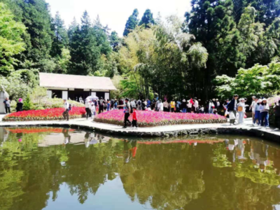 小長假前三天，廬山游客接待量創今年新高，景區管理舉措成效顯著